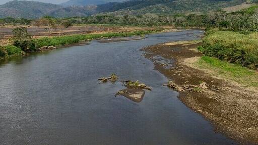 Costa Rica's Rio Tarcoles. The river is filled with giant American crocs, and scarlet macaws fly past in the sky. #costarica #riotarcoles #nature #amazinglandscapes #thetwohobos #travelingtheworld #naturelovers #mountains #igtravel #nature #wonderful_places #roadtrip #troveon