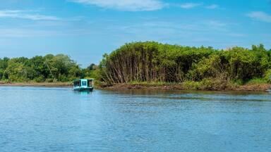 The mouth of the Tárcoles River (Río Grande de Tarcoles) among wildlife rich mangrove forests, Costa Rica