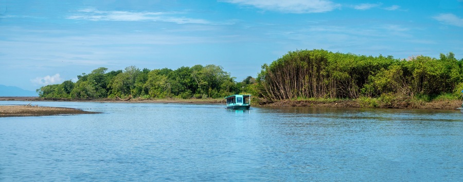 A calm river with a small boat in the center, surrounded by dense green foliage and a clear blue sky.