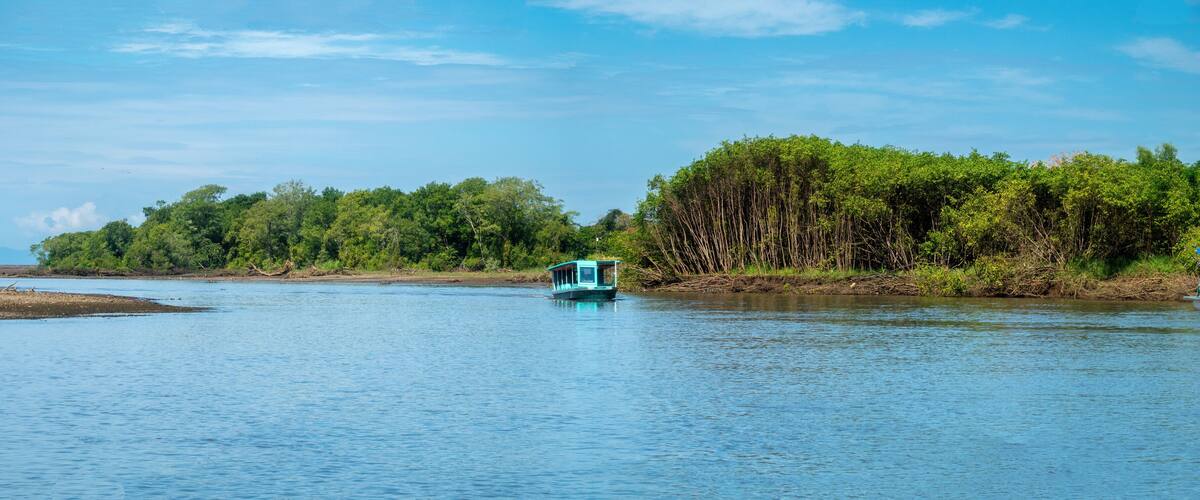 A calm river with a small boat in the center, surrounded by dense green foliage and a clear blue sky.