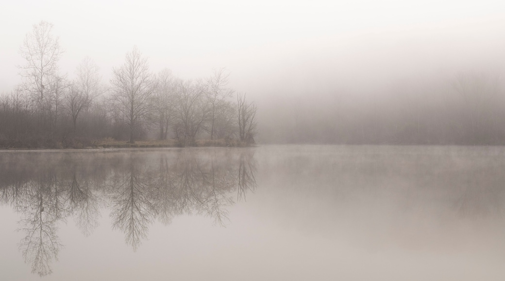 Bald Eagle State Park
