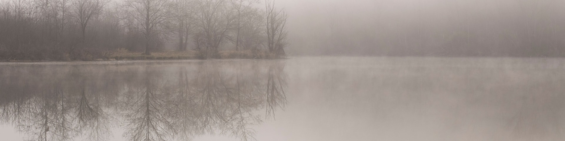 Foggy morning along the water with reflection of trees at Bald E
