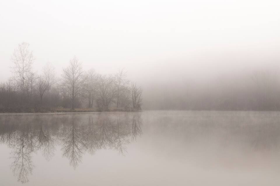 A foggy lake with bare trees reflected on the water.