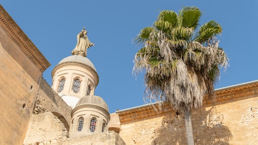 Vilafranca de Bonany