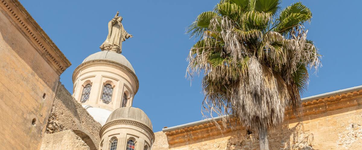 A historical building with a dome and a statue, and a palm tree in the foreground.