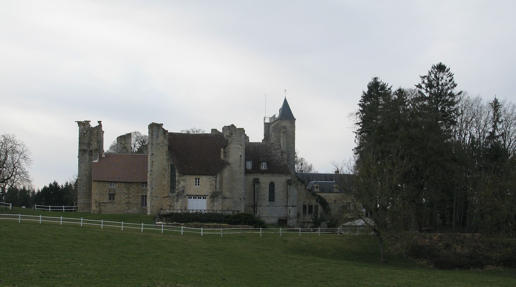 L'église ruinée du prieuré de l'épeau, Nièvre, France.