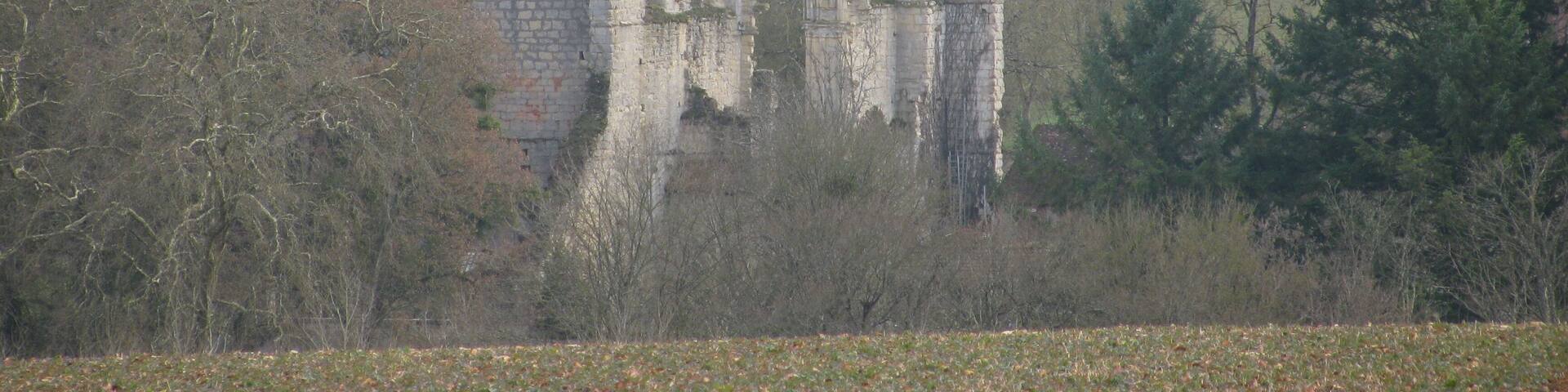 L'église ruinée du prieuré de l'épeau, NiÚvre, France.