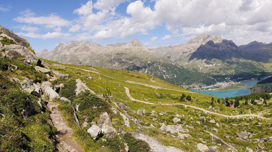 錫爾斯因恩加丁賽格