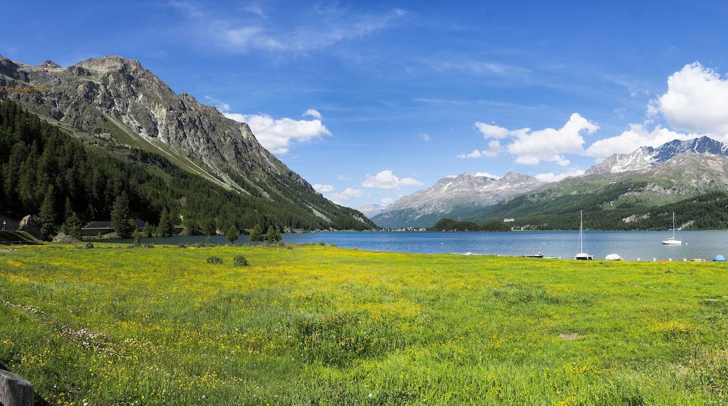 錫爾斯因恩加丁賽格