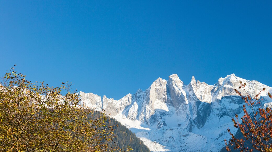 Panorama of the snowy peaks framed by colorful trees, Soglio, Bregaglia Valley, Canton of Graubunden