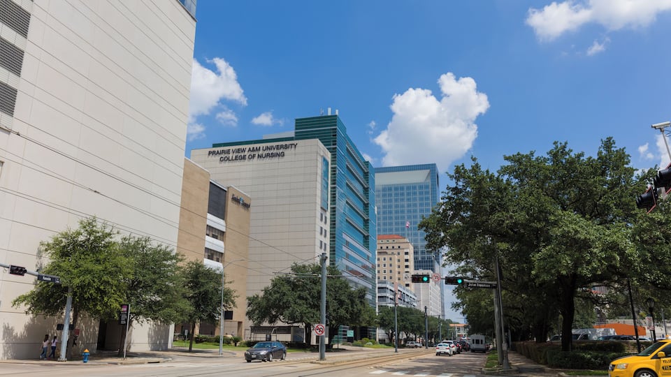 Houston_TexasMedicalCenter_6143504_6