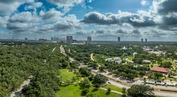 Texas Medical Center (sairaala)