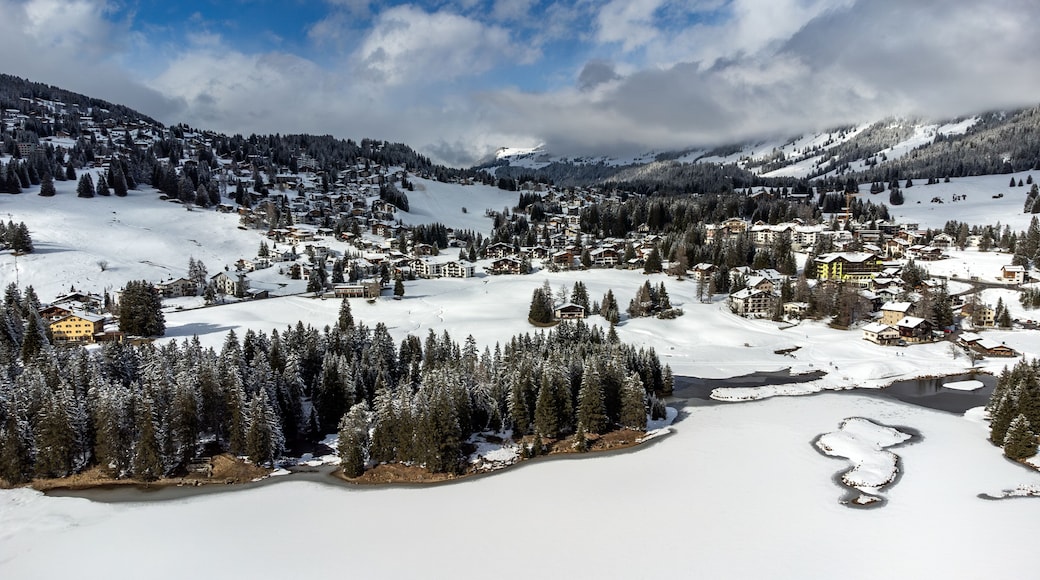 Een besneeuwd dorpje in de bergen met dichte bossen en een rivier.