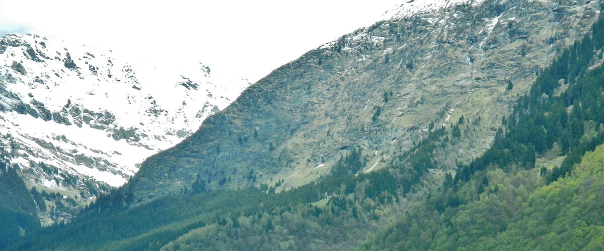 A medieval castle surrounded by lush green forest and snow-capped mountains.