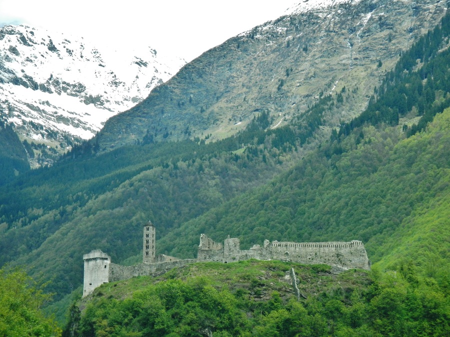 A medieval castle surrounded by lush green forest and snow-capped mountains.