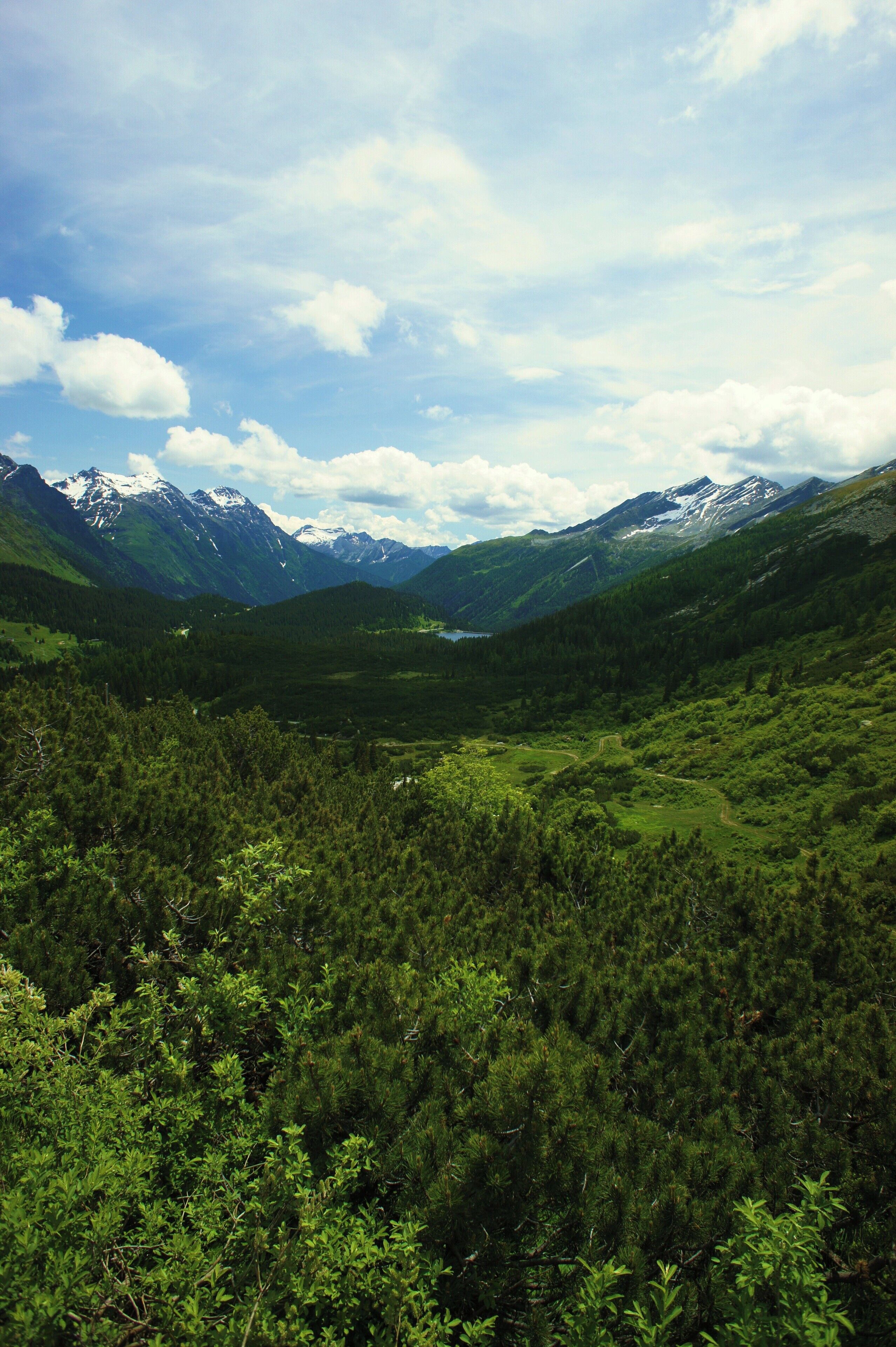 Un paisaje montañoso con bosques densos y un lago.