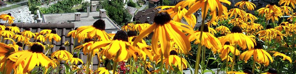 Ronco sopra Ascona am Lago Maggiore im Schweizer Kanton Tessin.Ganz im Hintergrund liegt Ascona und Locarno.