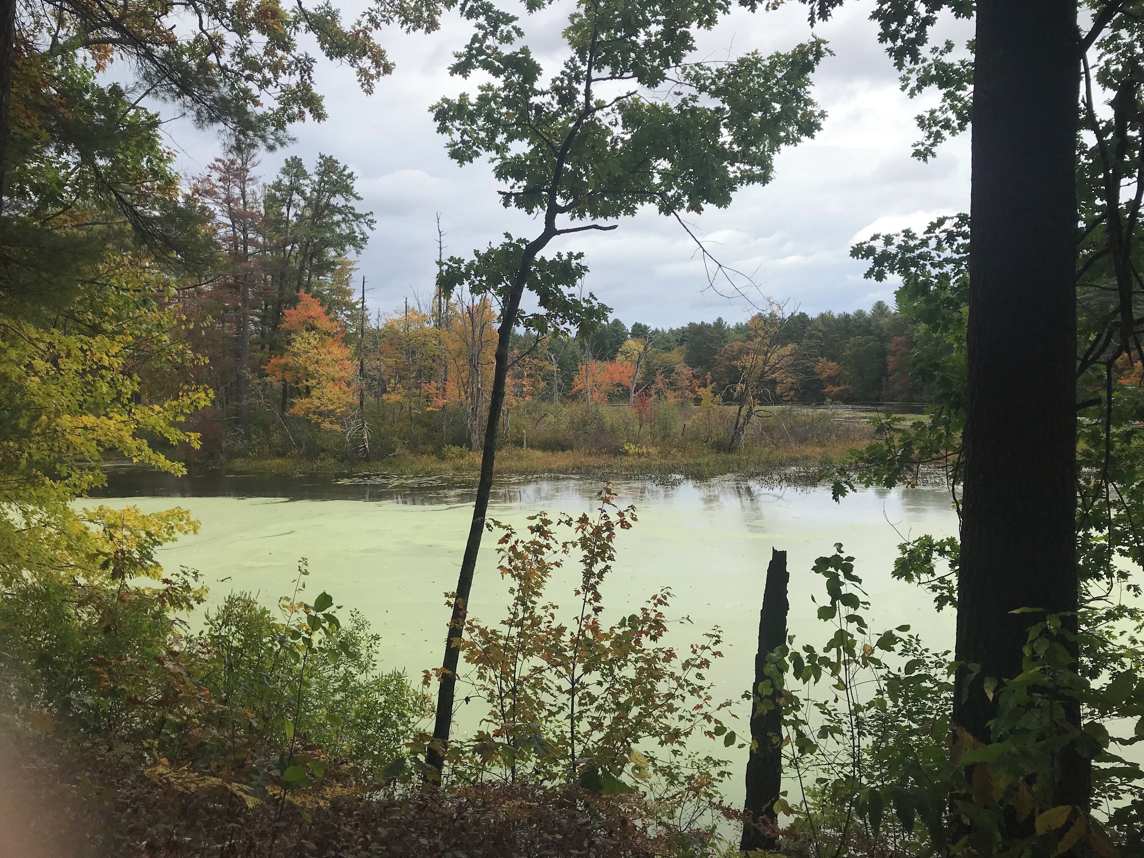The autumn is here and a ride in the country has is beauty.