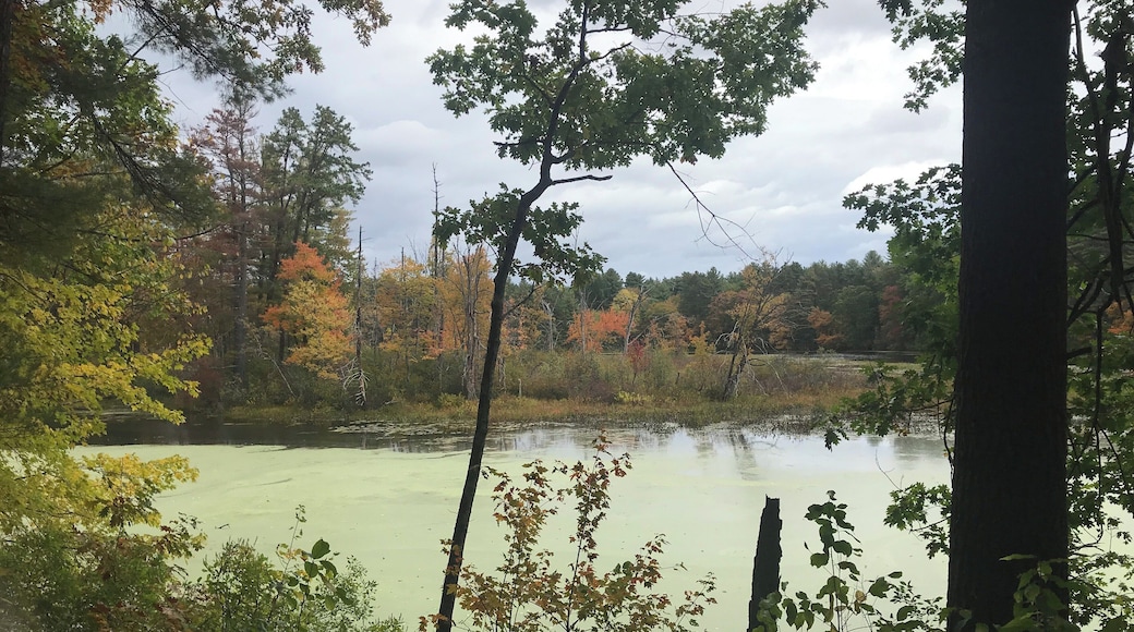 The autumn is here and a ride in the country has is beauty.