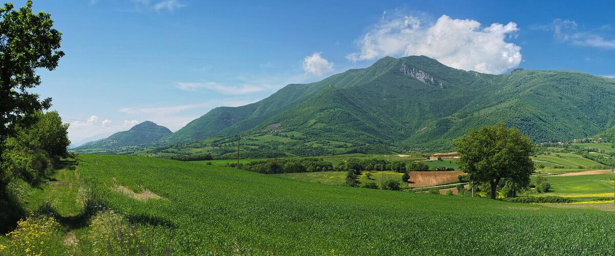 A lush green valley with rolling hills, a mountain range in the background, and a few scattered buildings.