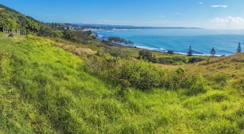 ์จ์คํธ ๋ฐ๋ฆฌ๋