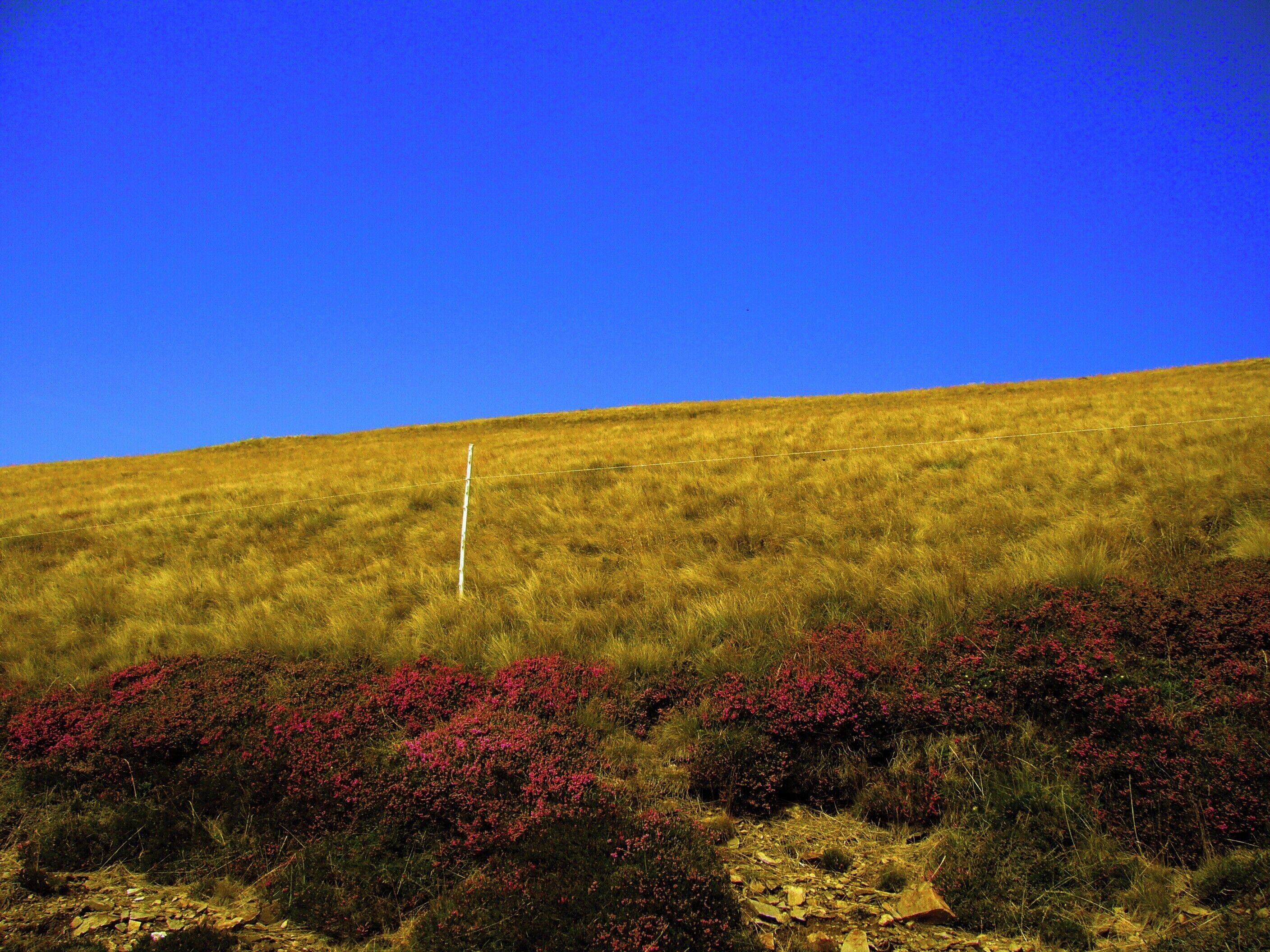 Capriasca, Switzerland