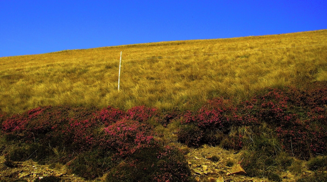 Capriasca, Switzerland