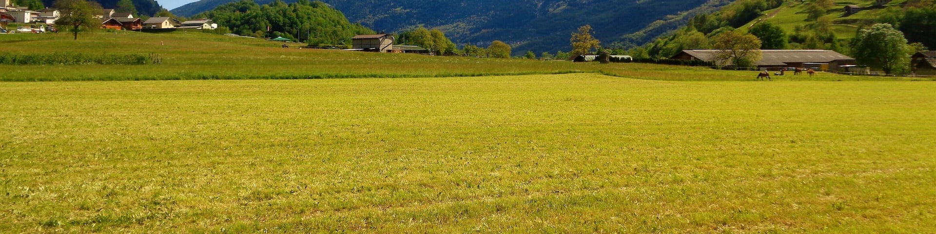 Springtime in Switzerland! Blenio consists of several villages and hamlets and offers breathtaking views. I'd say that Blenio was the most picturesque place I visited in Ticino, which is saying a lot, because there's so many beautiful places there!
