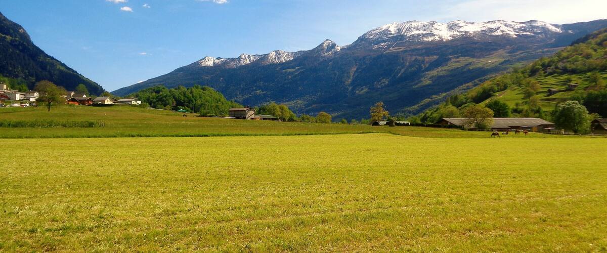 A green field with houses and mountains in the background.