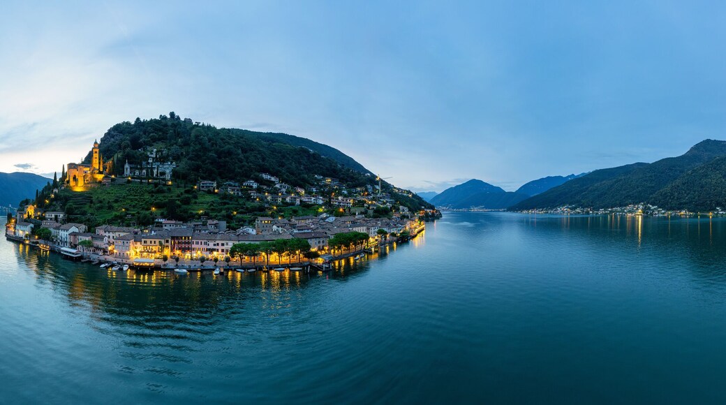 فيكو موركوت