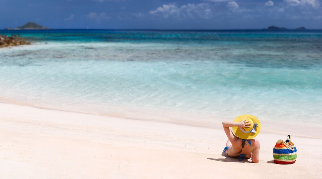 Guana Island