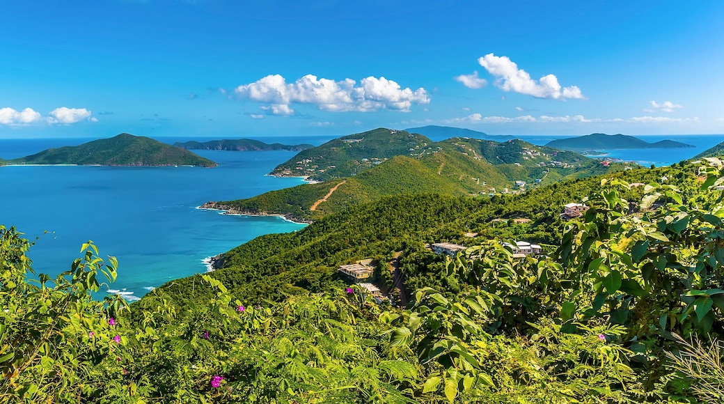 Guana Island