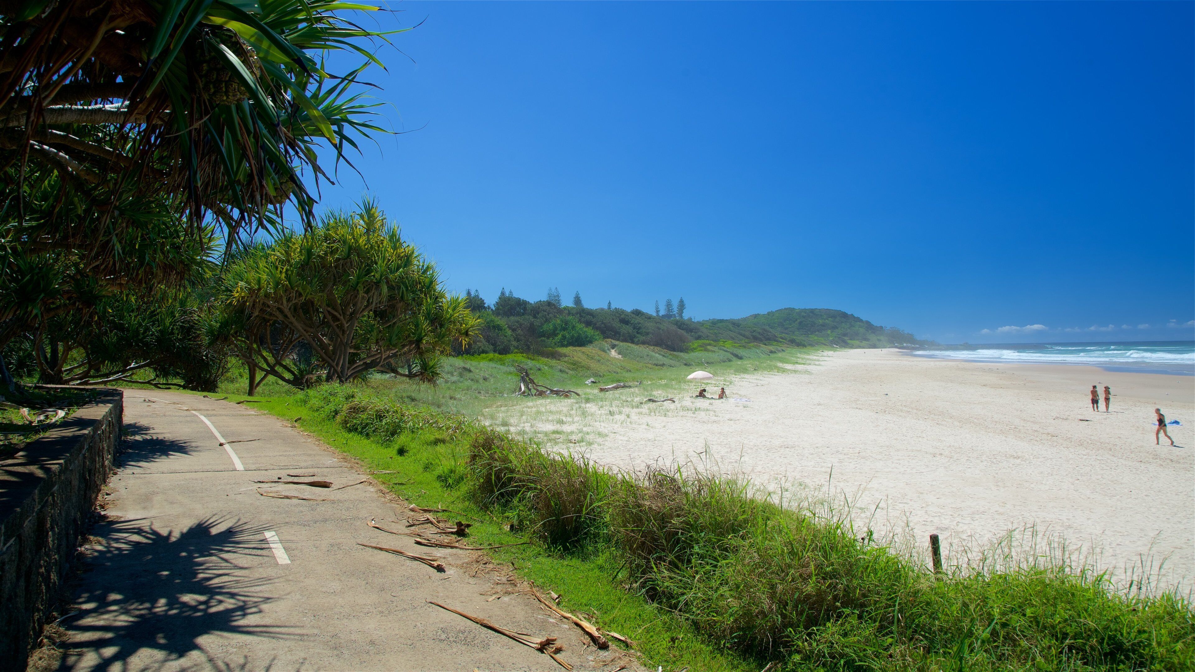 East Ballina featuring a sandy beach and general coastal views