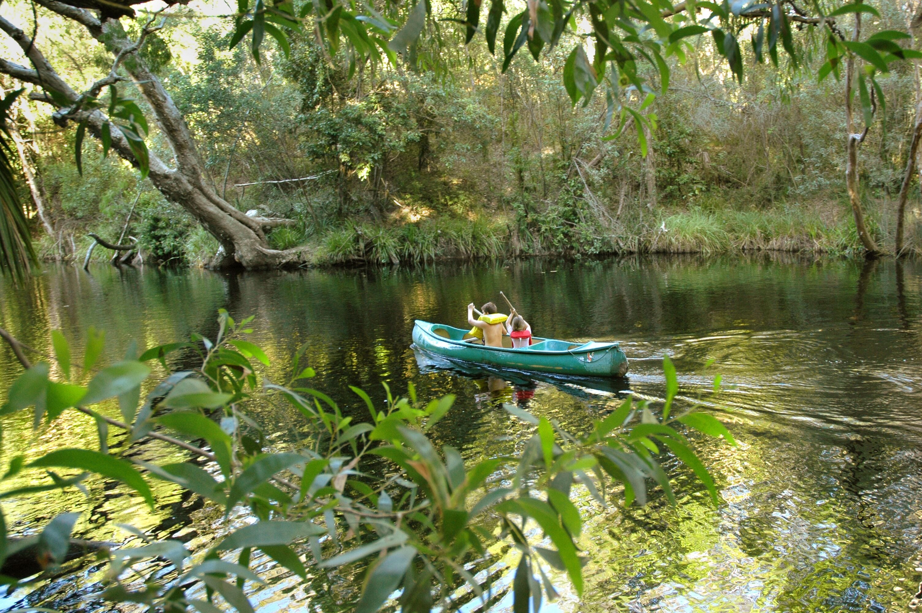Un río tranquilo con una barca verde que transporta a dos personas, rodeado de vegetación exuberante y árboles.