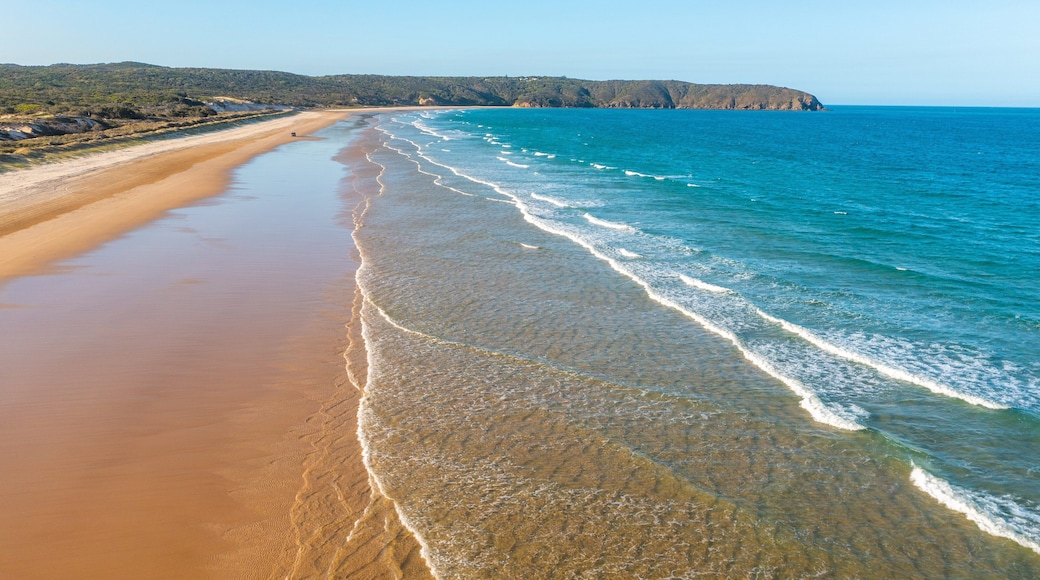 Byfield which includes a beach, landscape views and general coastal views