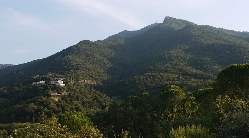Les Llisses (sommet 528 m) à Sorède