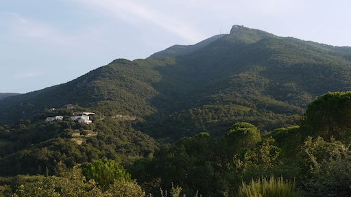Les Llisses (sommet 528 m) à Sorède