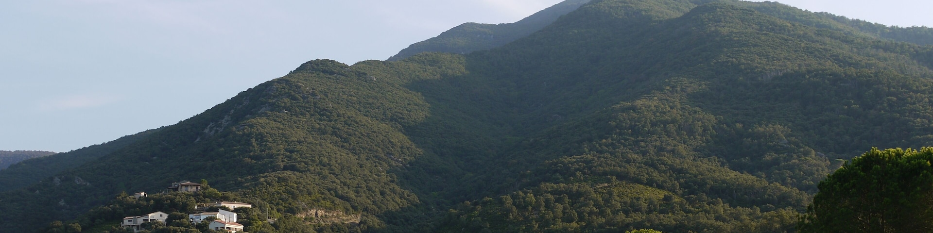 Les Llisses (sommet 528 m) à Sorède