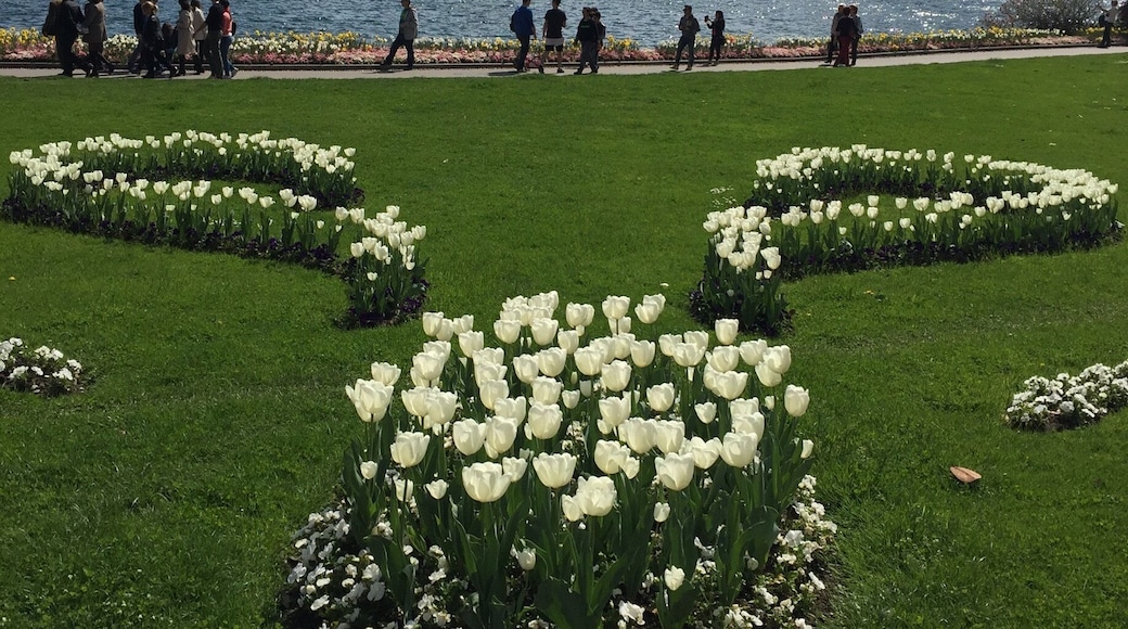 Gardens, lake and mountains make Lugano a lovely place to visit.