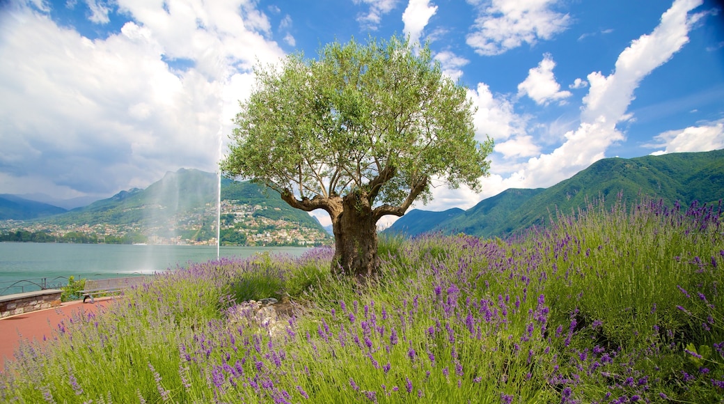 Paradiso featuring a lake or waterhole and wildflowers