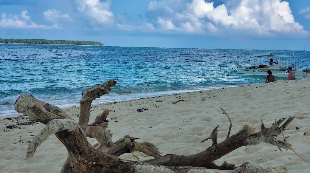 Sandbank near General Luna