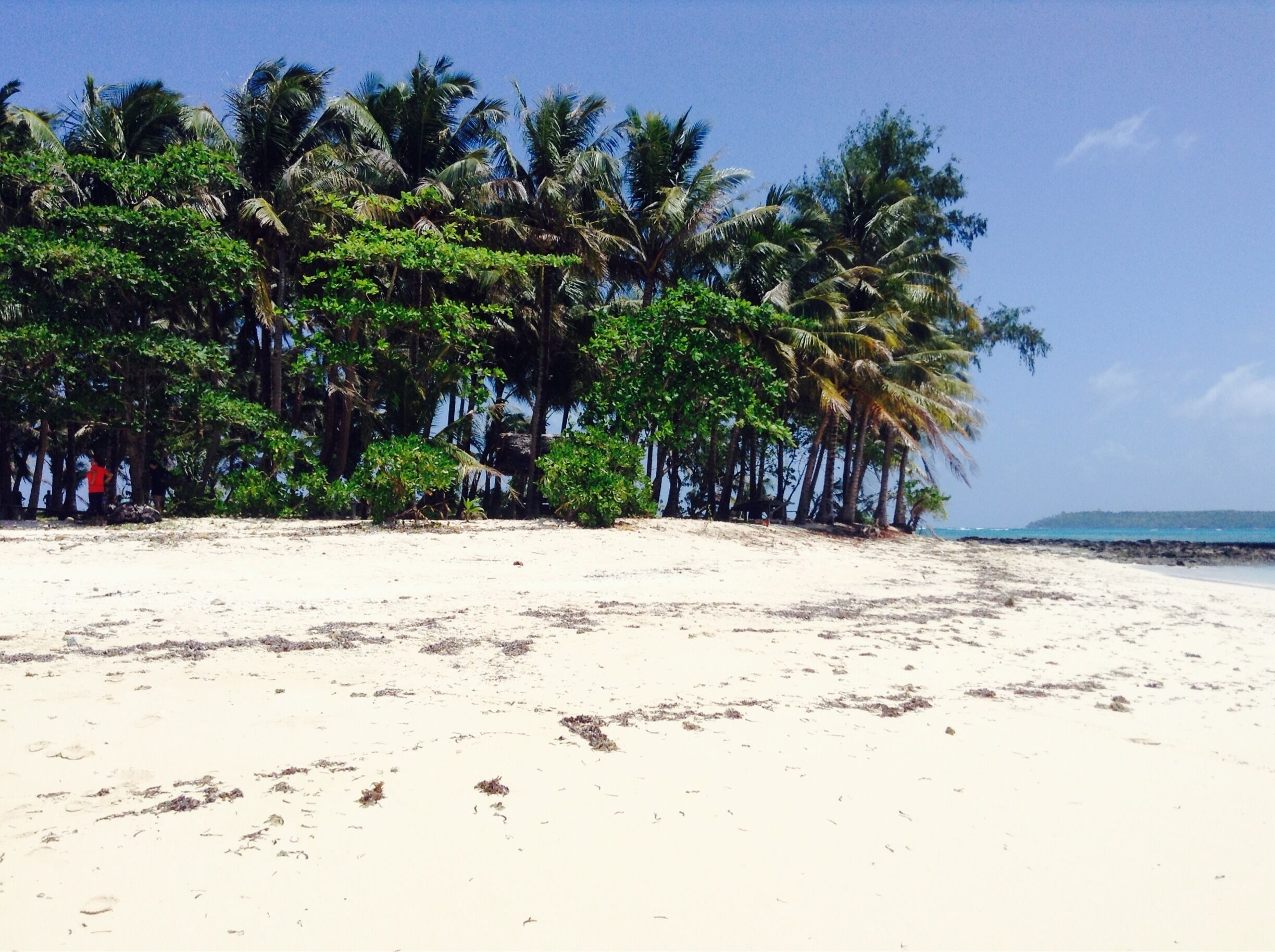 Guyam Island in Siargao, Surigao del Norte Philippines. 
