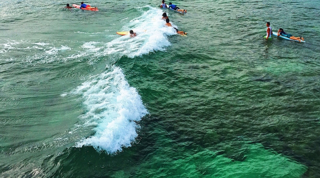 Typical morning for them awesome swell-lovers.