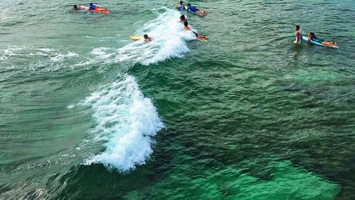 Typical morning for them awesome swell-lovers.