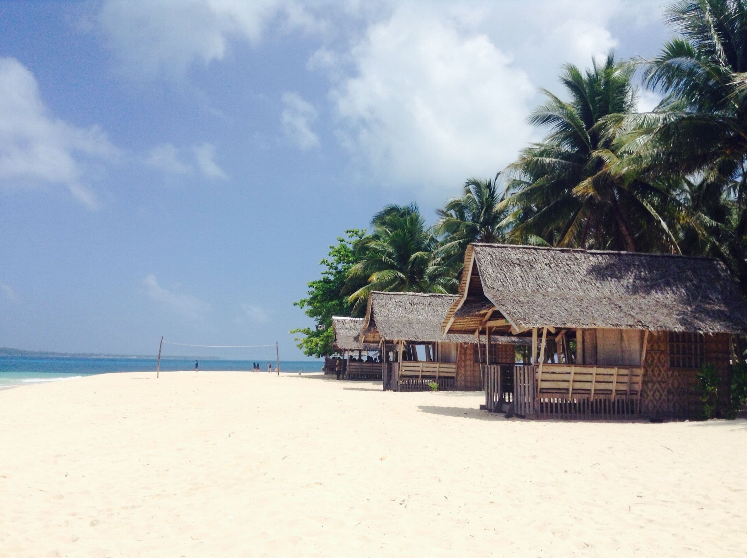 A beach with thatched-roof huts and palm trees.