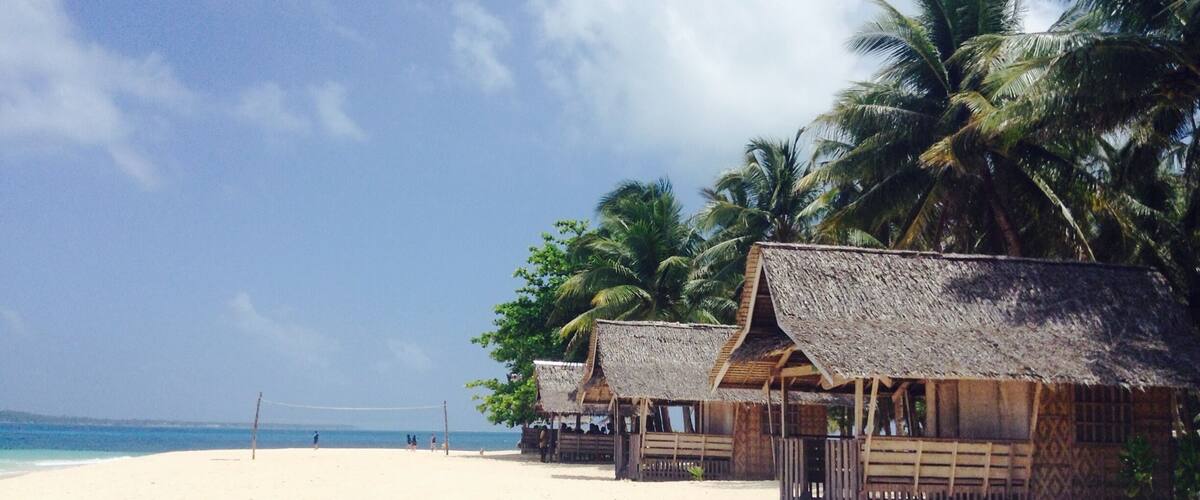 A beach with thatched-roof huts and palm trees.