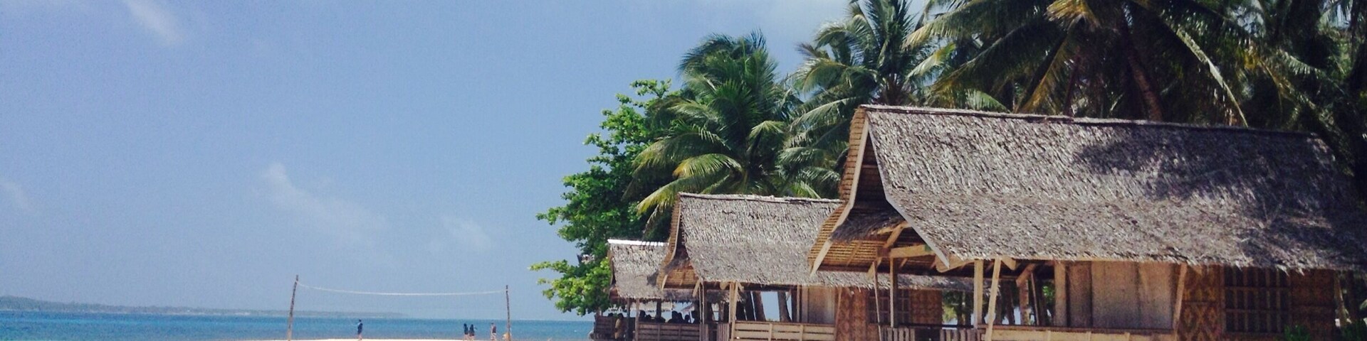 A beach with thatched-roof huts and palm trees.
