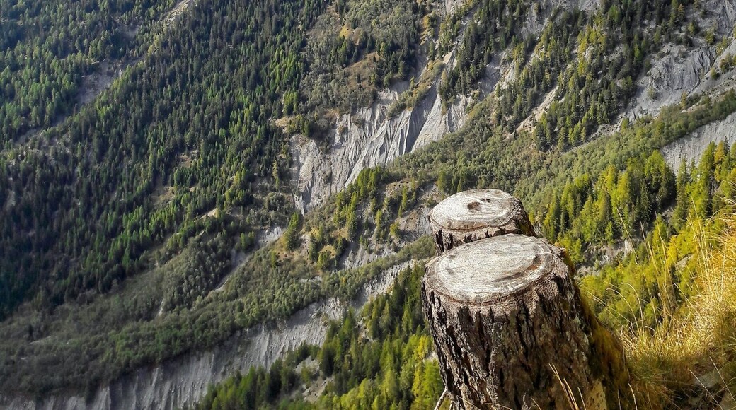"Chutte du Bisse"
Verbier, Switzerland
Here is the fall of the "Bisse du Levron" near the Verbier station.
This walk is accessible from the Ruinettes or "La Marlènaz" !
before the bisse was build for supply the Village of "Le Levron" in water ! but now there is just an impressive fall !
very beautiful