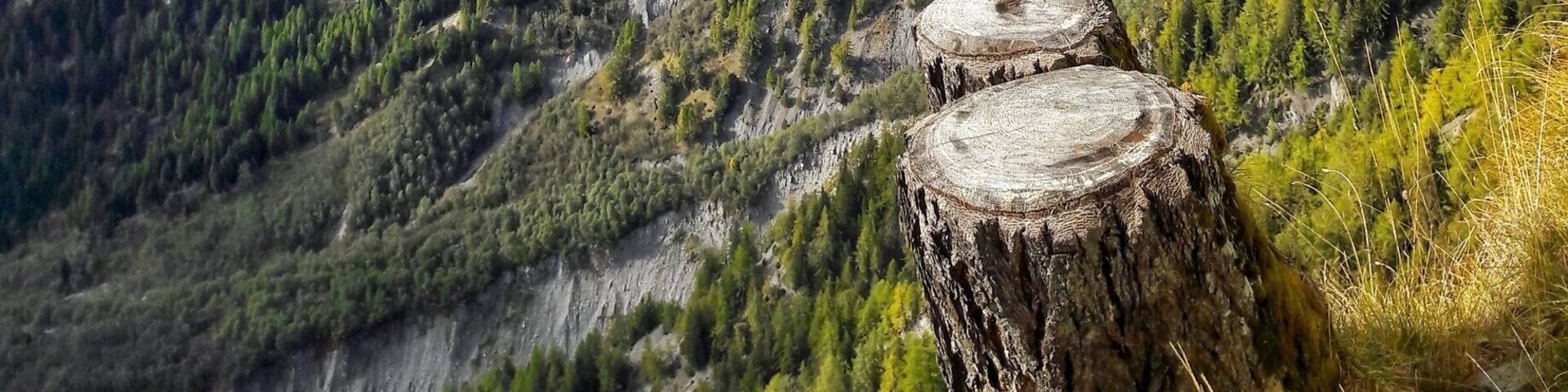 "Chutte du Bisse"
Verbier, Switzerland
Here is the fall of the "Bisse du Levron" near the Verbier station.
This walk is accessible from the Ruinettes or "La Marlènaz" !
before the bisse was build for supply the Village of "Le Levron" in water ! but now there is just an impressive fall !
very beautiful