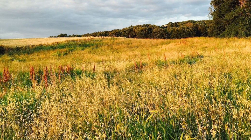 An evening negroni-powered walk in Umbria dropped us into an oil painted dreamscape. #hike #hiking